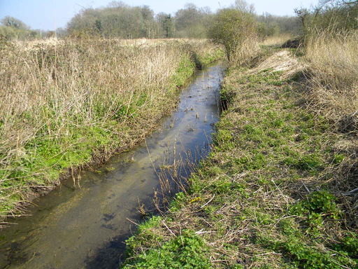 Carr Stream after tidying, Hillside House 2017-03-28 (0885)