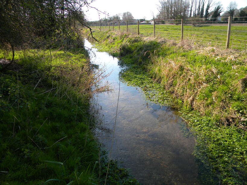 Carr Stream 2021-04-13 (1789)
