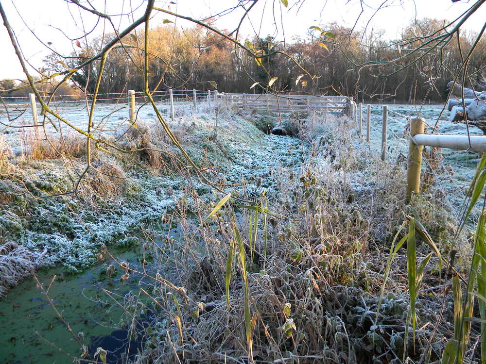 Carr Stream near MNE during hard frosts 2022-12-17 (2788)