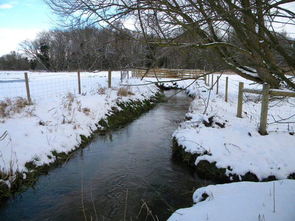 Carr Stream and snow, Hillside House 2021-02-09 (1761)