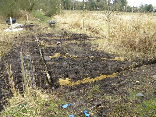 Buried land drainage pipes and bund, western edge of meadow, Hillside House, 2017-03-10 (0857) Buried land drainage pipes and bund, western edge of meadow, Hillside House, 2017-03-10 (0857)