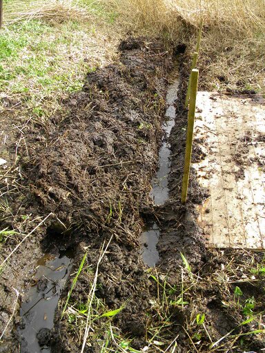 Drainage pipe under second bridge, meadow NE corner 2017-04-12 (0919) Drainage pipe under second bridge, meadow NE corner 2017-04-12 (0919)