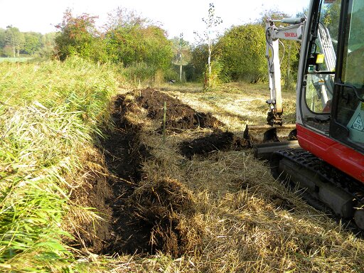 Digging out drain by poplar planting area, 2018-10-20 (1329) Digging out drain by poplar planting area, 2018-10-20 (1329)