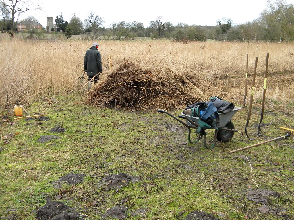 Norfolk Conservation Corps with reed cuttings 2020-02-16 (1483) Norfolk Conservation Corps with reed cuttings 2020-02-16 (1483)