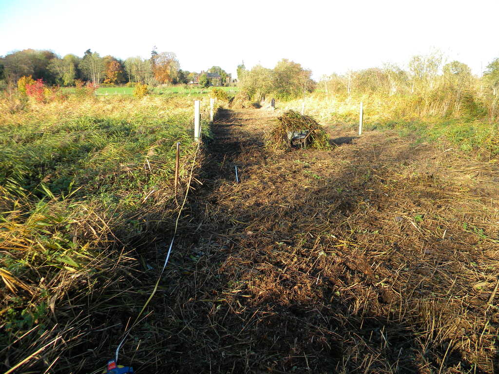 First experimental strip, Hillside House meadow 2021-11-17 (2061) First experimental strip, Hillside House meadow 2021-11-17 (2061)