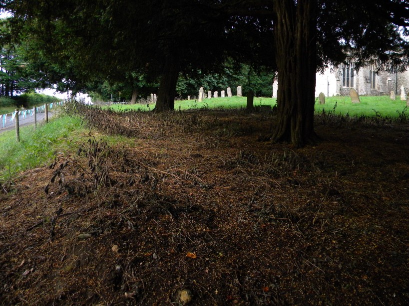 Excessive herbicide usage at East Barsham churchyard 2023-07-11 (3106) Excessive herbicide usage at East Barsham churchyard 2023-07-11 (3106)