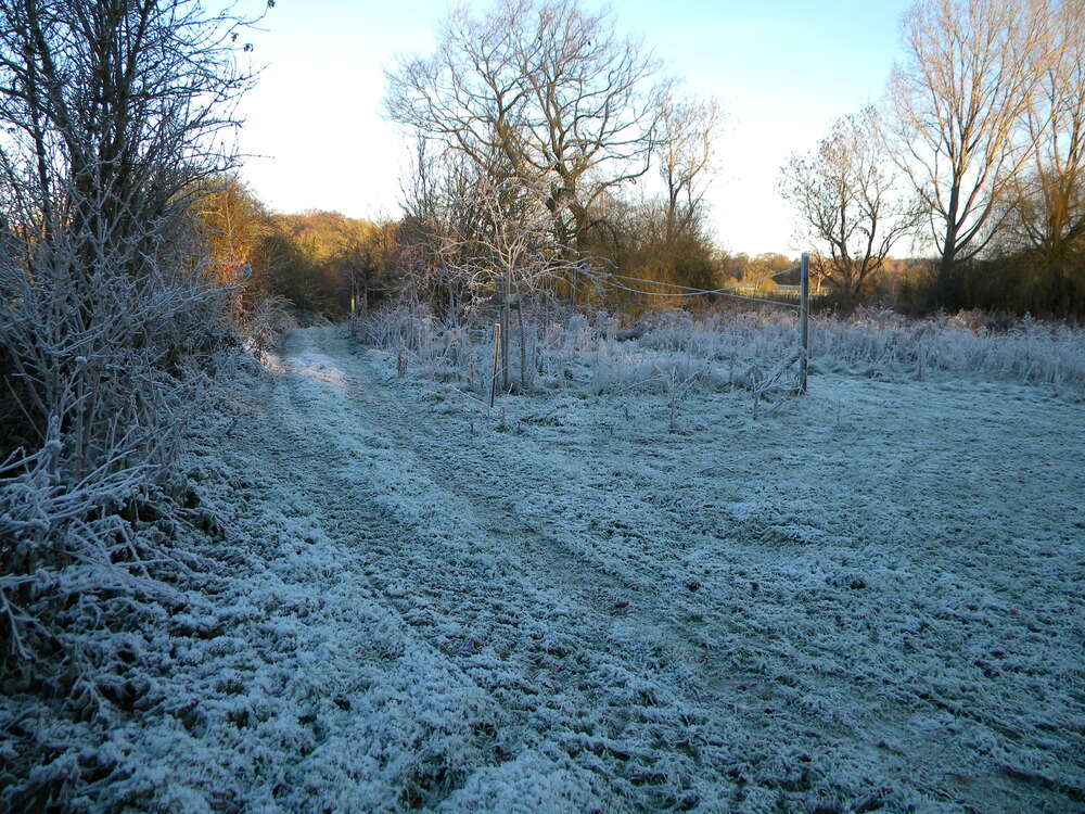 Hillside House WBH track in hard frost 2022-12-17 (2774)