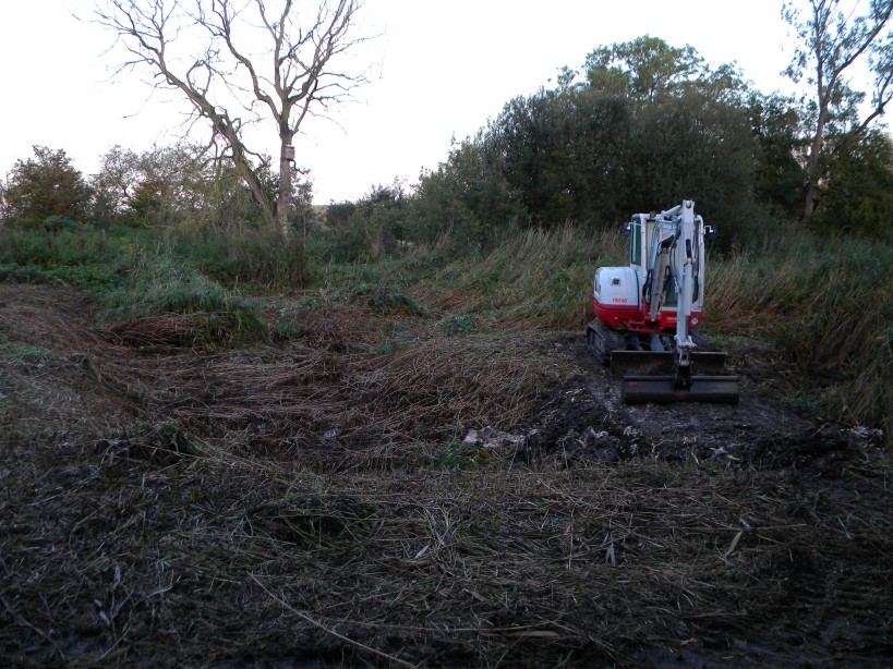 Work on island 1 main pond renovation Hillside House 2023-10-14 (3220)