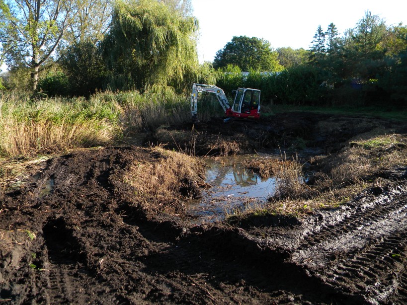 Main pond renovation Hillside House 2023-10-15 (3230)