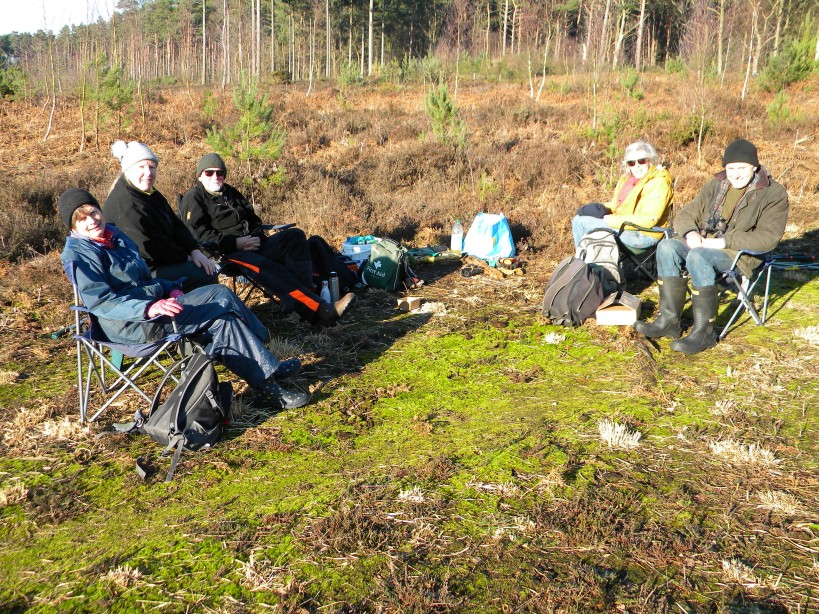 Heathland management task by Norfolk Conservation Corps 2023-01-22 (2801) Heathland management task by Norfolk Conservation Corps 2023-01-22 (2801)