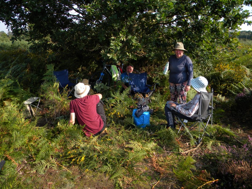 Norfolk Conservation Corps at Marsham Heath 2023-09-10 (3176) Norfolk Conservation Corps at Marsham Heath 2023-09-10 (3176)