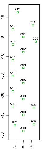 Native black poplars, plan of final layout at Hillside House 2019