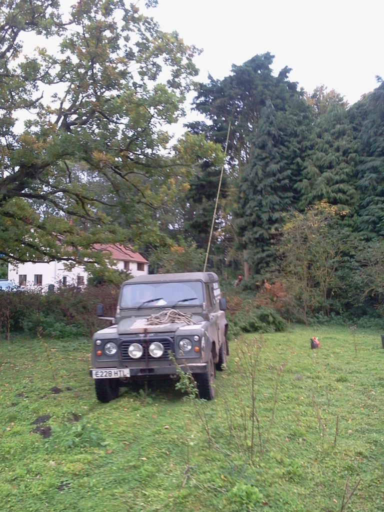 Tree faller Land Rover and cypress being taken down (0811) Tree faller Land Rover and cypress being taken down (0811)