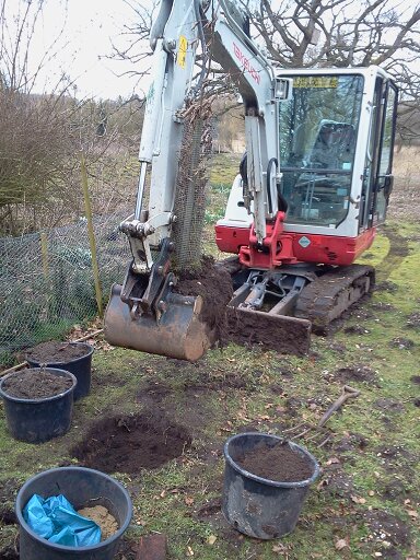 Digger (hired from FTC Fakenham) used to transplant hornbeam 2016-03-06 (0879) Digger (hired from FTC Fakenham) used to transplant hornbeam 2016-03-06 (0879)