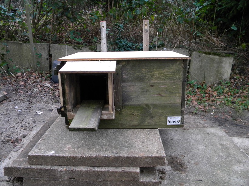 Repaired Raynham Farm barn owl box 2023-12-23 (3320) Repaired Raynham Farm barn owl box 2023-12-23 (3320)