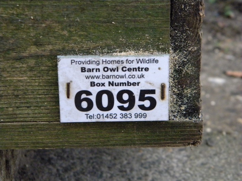 Repaired Raynham Farm barn owl box serial number 2023-12-23 (3326) Repaired Raynham Farm barn owl box serial number 2023-12-23 (3326)