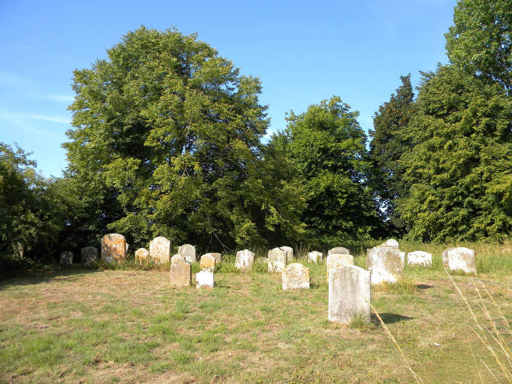 Tilia cordata (small-leaved lime or pry) West Rudham church 2022-08-09 (2525)