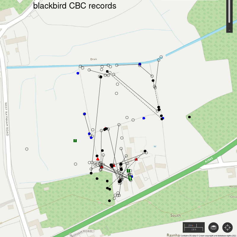 Blackbird CBC-style records, Hillside House 2021