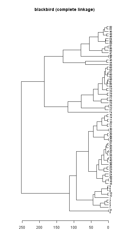 Blackbird records dendrogram (complete linkage), Hillside House 2020