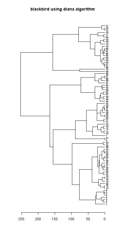 Blackbird records dendrogram (diana), Hillside House 2020