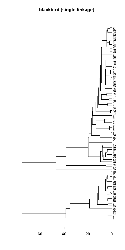 Blackbird records dendrogram (single linkage), Hillside House 2020