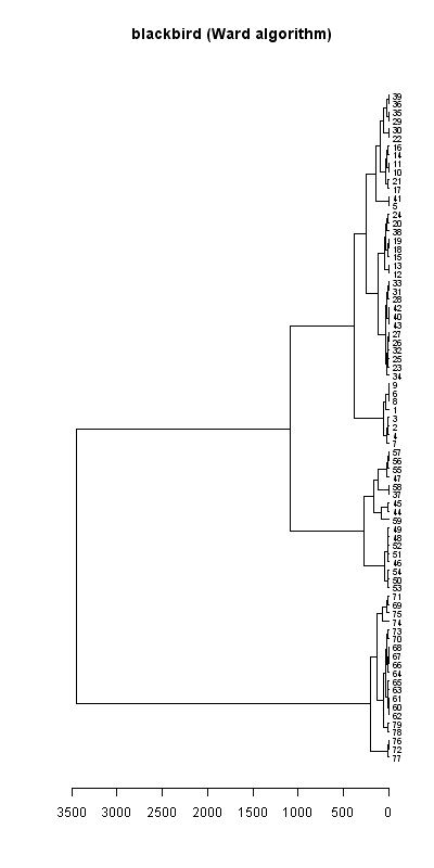 Blackbird records dendrogram (Ward algorithm), Hillside House 2020