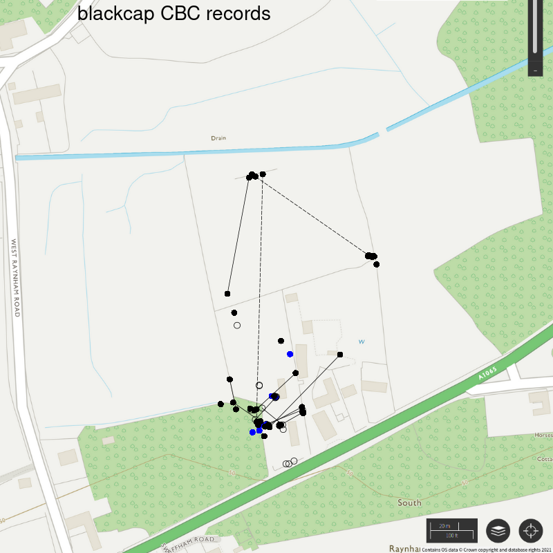 Blackcap CBC-style records, Hillside House 2021