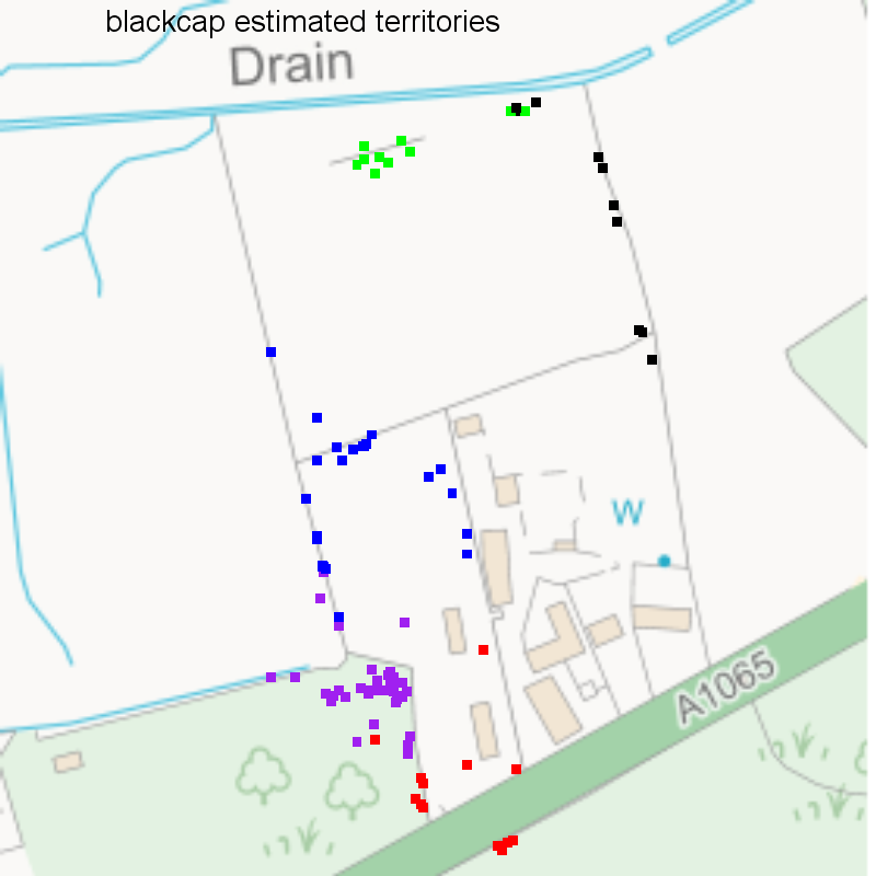 Blackcap territories, Hillside House 2020