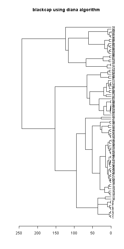 Blackcap records dendrogram (diana), Hillside House 2020