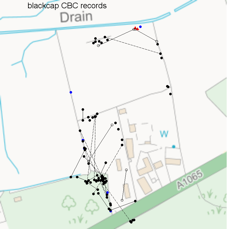 Blackcap CBC-style records, Hillside House 2020