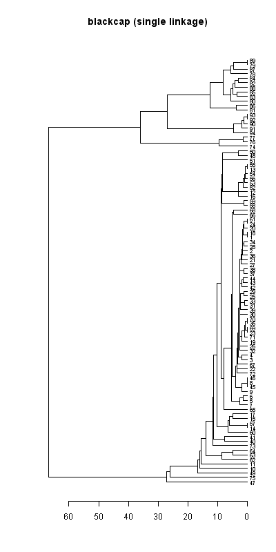 Blackcap records dendrogram (single linkage), Hillside House 2020