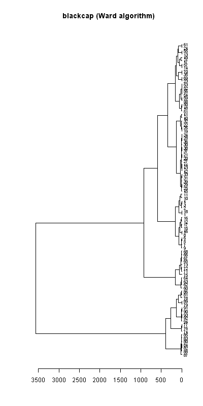 Blackcap records dendrogram (Ward algorithm), Hillside House 2020