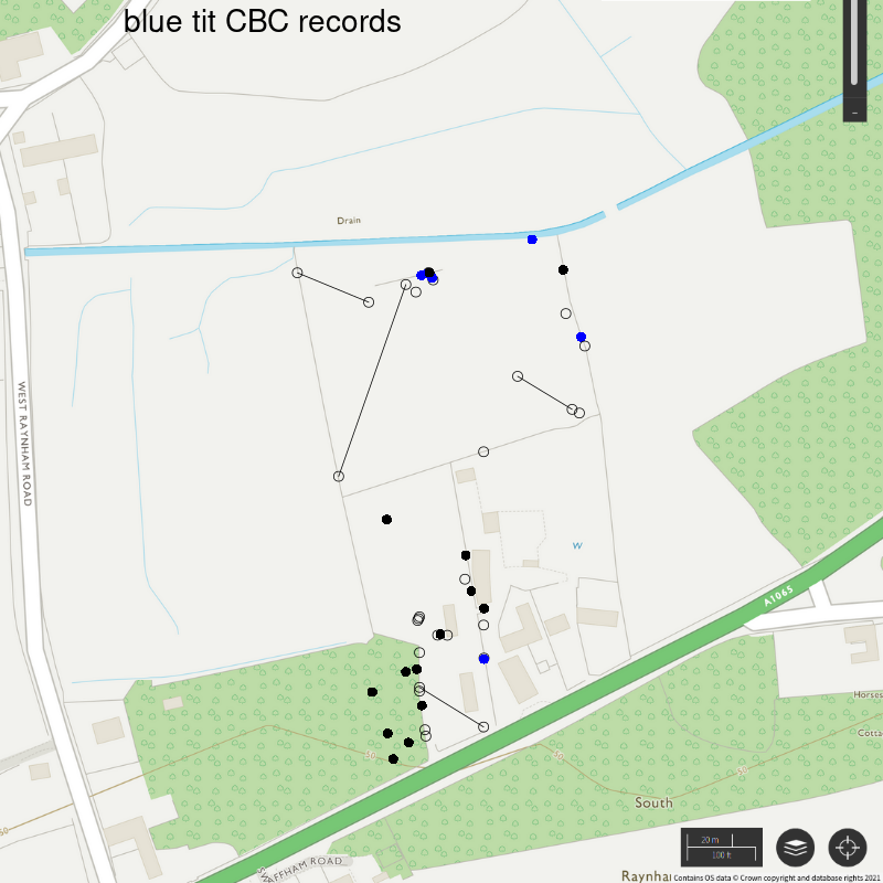Blue tit CBC-style records, Hillside House 2021