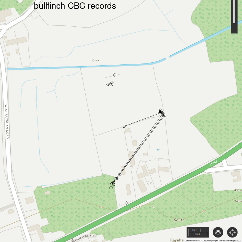 Bullfinch CBC-style records, Hillside House 2020