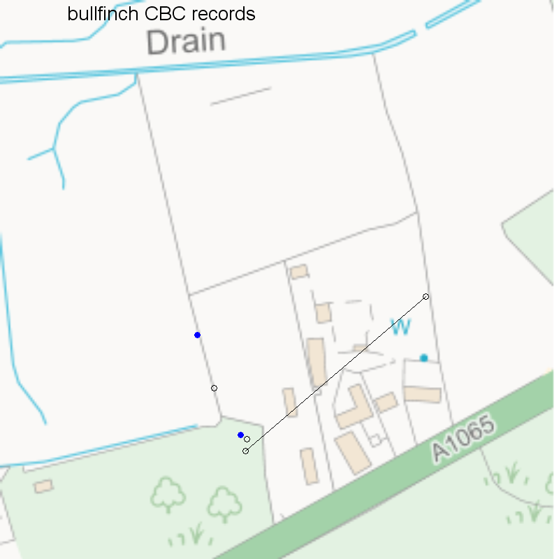 Bullfinch CBC-style records, Hillside House 2020