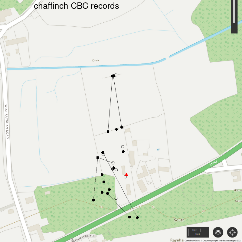 Chaffinch CBC-style records, Hillside House 2021
