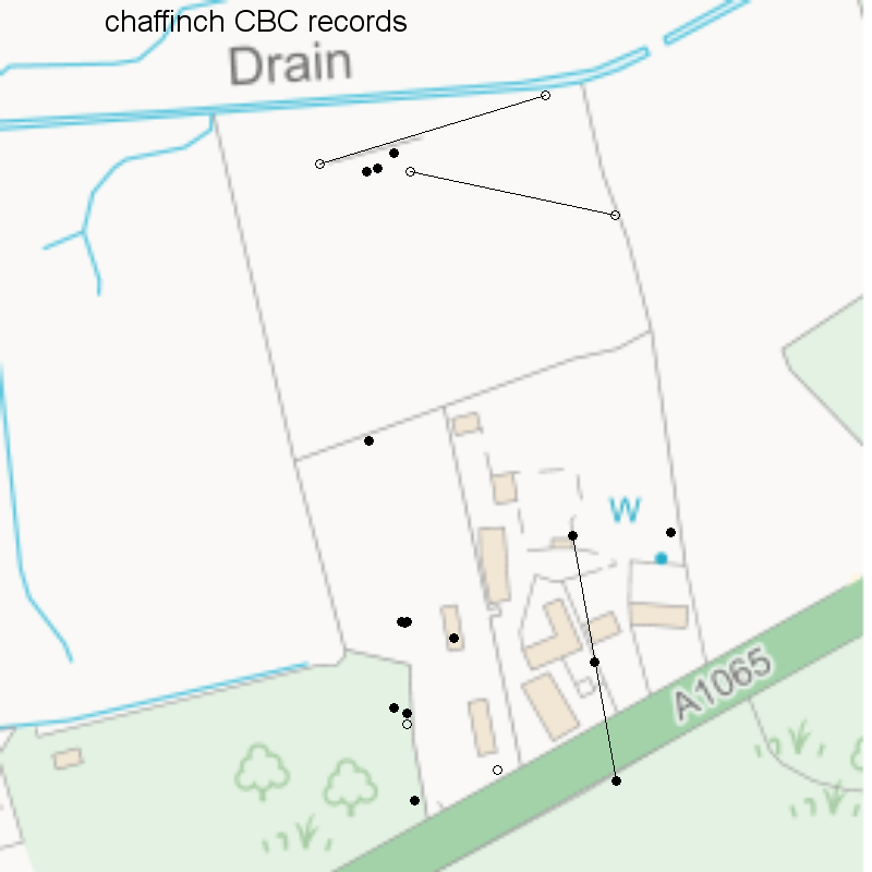Chaffinch CBC-style records, Hillside House 2020