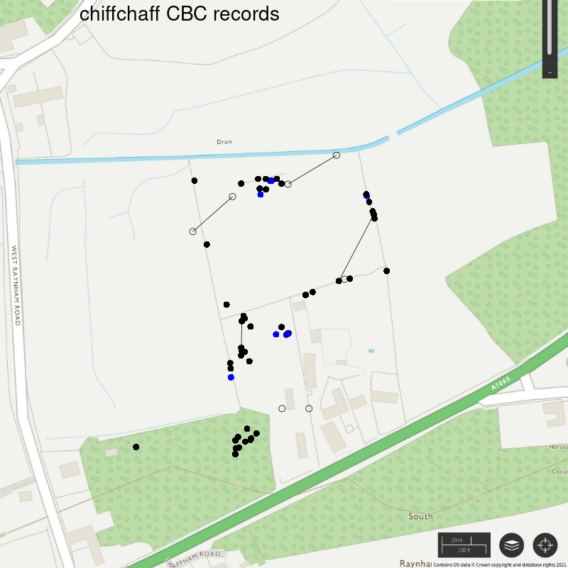 Chiffchaff CBC-style records, Hillside House 2021