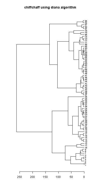 Chiffchaff records dendrogram (diana), Hillside House 2020