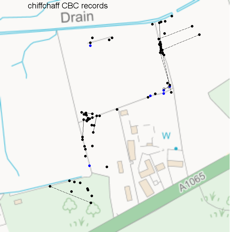 Chiffchaff CBC-style records, Hillside House 2020