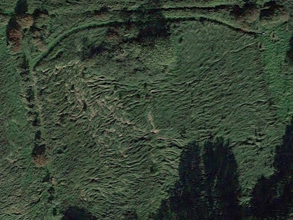 Deer trails on meadow, around 2017, Google Earth image