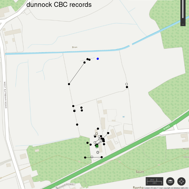 Dunnock CBC-style records, Hillside House 2021