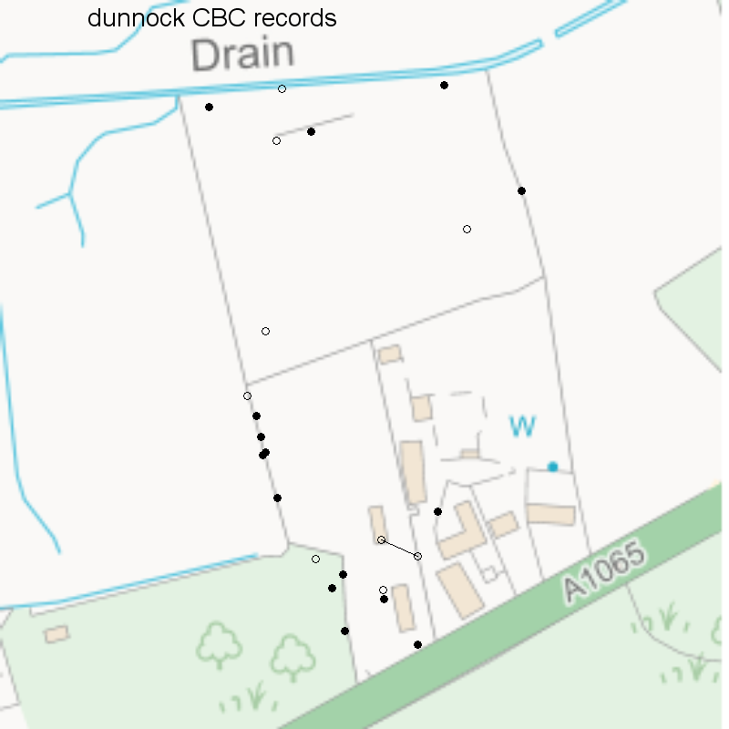 Dunnock CBC-style records, Hillside House 2020