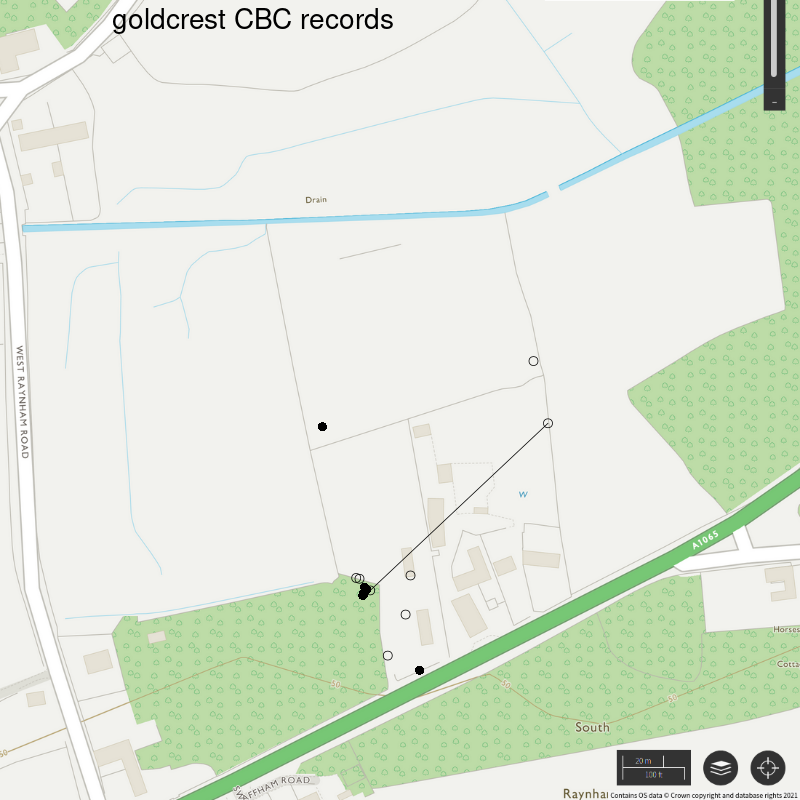 Goldcrest CBC-style records, Hillside House 2021