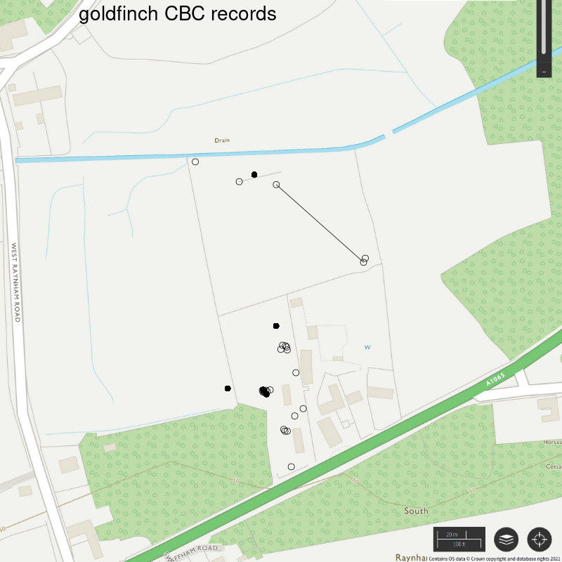 Goldfinch CBC-style records, Hillside House 2021