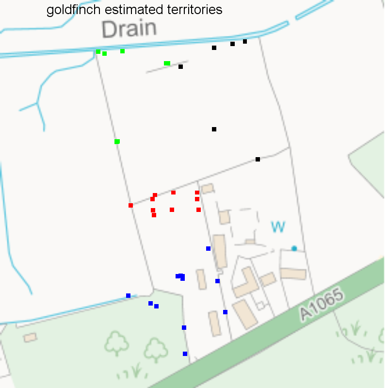 Goldfinch records classified into territories, Hillside House 2020