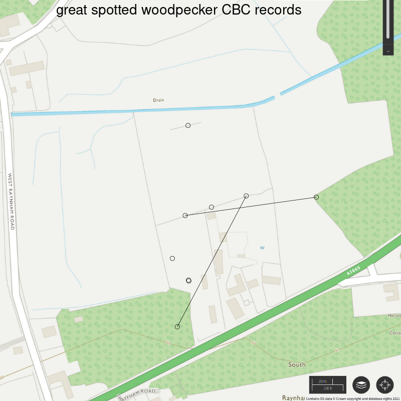 Great spotted woodpecker CBC-style records, Hillside House 2021