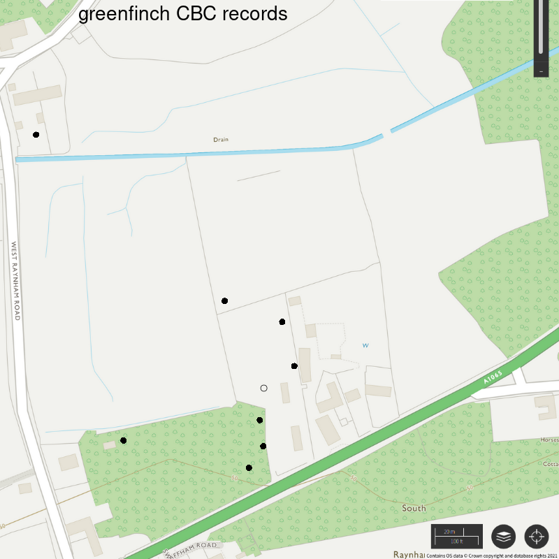 Greenfinch CBC-style records, Hillside House 2021