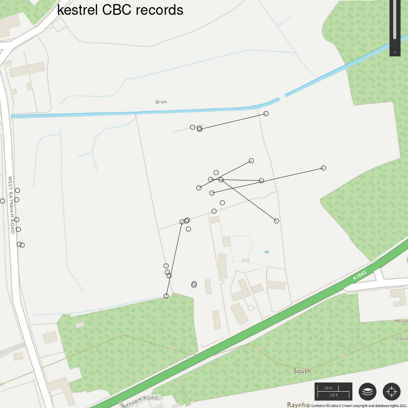 Kestrel CBC-style records, Hillside House 2021
