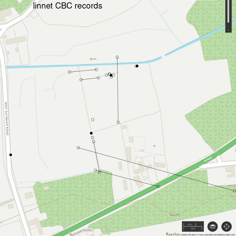 Linnet CBC-style records, Hillside House 2021
